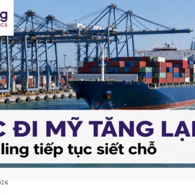Cước vận tải container đi Mỹ tăng trở lại trong bối cảnh các hãng tàu tiếp tục cắt chuyến.