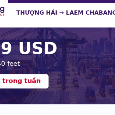 Cước spot tuyến Thượng Hải đi Laem Chabang đạt 1.609 USD cho container 40 feet, tăng 22% trong tuần.