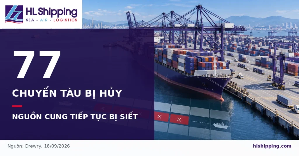 77 chuyến container bị hủy từ tuần 39 đến tuần 43 trước Tuần lễ Vàng