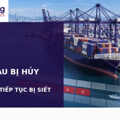 77 chuyến container bị hủy từ tuần 39 đến tuần 43 trước Tuần lễ Vàng